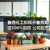 鲁西化工拟吸并鲁西集团100%股权 公司股票4...(图2) 鲁西化工拟吸并鲁西集团100%股权 公司股票4...(图2)
