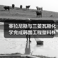塞拉尼斯与三菱瓦斯化学完成韩国工程塑料株...(图2) 塞拉尼斯与三菱瓦斯化学完成韩国工程塑料株...(图2)