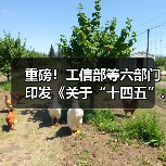 重磅！工信部等六部门印发《关于“十四五”...（图3）