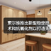 索尔维推出新型稳定技术和抗氧化剂以打造无...（图2）