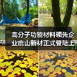 高分子功能材料领先企业鹿山新材正式登陆上...（图4）