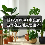 继12月PBAT中交后,万华在四川又要建P...(图4) 继12月PBAT中交后,万华在四川又要建P...(图4)