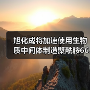 旭化成将加速使用生物质中间体制造聚酰胺66...(图1) 旭化成将加速使用生物质中间体制造聚酰胺66...(图1)