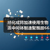 旭化成将加速使用生物质中间体制造聚酰胺66...(图2) 旭化成将加速使用生物质中间体制造聚酰胺66...(图2)