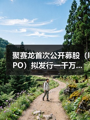 聚赛龙首次公开募股（IPO）拟发行一千万...（图1）