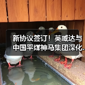 新协议签订!英威达与中国平煤神马集团深化...(图4) 新协议签订!英威达与中国平煤神马集团深化...(图4)