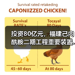 投资80亿元,福建己内酰胺二期工程重要装置...(图3) 投资80亿元,福建己内酰胺二期工程重要装置...(图3)