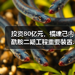 投资80亿元,福建己内酰胺二期工程重要装置...(图4) 投资80亿元,福建己内酰胺二期工程重要装置...(图4)