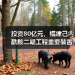 投资80亿元,福建己内酰胺二期工程重要装置...(图1) 投资80亿元,福建己内酰胺二期工程重要装置...(图1)