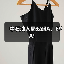 中石油入局双酚A、EVA!(图2) 中石油入局双酚A、EVA!(图2)