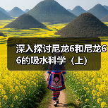 深入探讨尼龙6和尼龙66的吸水科学(上)(图1) 深入探讨尼龙6和尼龙66的吸水科学(上)(图1)