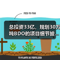 总投资33亿,规划30万吨BDO的项目细节披...(图2) 总投资33亿,规划30万吨BDO的项目细节披...(图2)