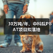 30万吨/年,中科院PBAT项目拟落地(图4) 30万吨/年,中科院PBAT项目拟落地(图4)
