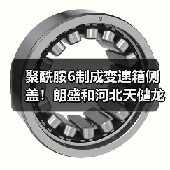 聚酰胺6制成变速箱侧盖！朗盛和河北天健龙维...（图2）