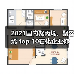 2021国内聚丙烯、聚乙烯 top 10石化企业你都...(图2) 2021国内聚丙烯、聚乙烯 top 10石化企业你都...(图2)