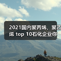 2021国内聚丙烯、聚乙烯 top 10石化企业你都...(图1) 2021国内聚丙烯、聚乙烯 top 10石化企业你都...(图1)