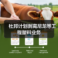杜邦计划剥离尼龙等工程塑料业务(图4) 杜邦计划剥离尼龙等工程塑料业务(图4)
