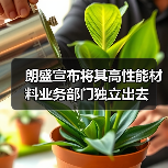 朗盛宣布将其高性能材料业务部门独立出去（图4）