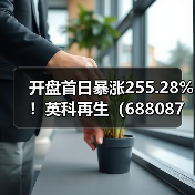 开盘首日暴涨255.28%！英科再生（688087）九...（图2）