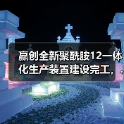 赢创全新聚酰胺12一体化生产装置建设完工，...（图1）