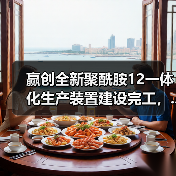 赢创全新聚酰胺12一体化生产装置建设完工，...（图4）