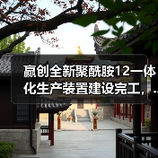 赢创全新聚酰胺12一体化生产装置建设完工，...（图3）