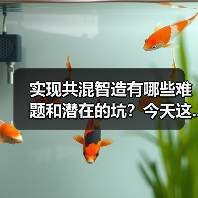 实现共混智造有哪些难题和潜在的坑?今天这...(图1) 实现共混智造有哪些难题和潜在的坑?今天这...(图1)