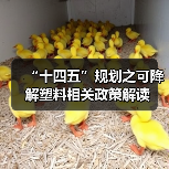 “十四五”规划之可降解塑料相关政策解读（图1）