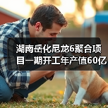 湖南岳化尼龙6聚合项目一期开工年产值60亿(图3) 湖南岳化尼龙6聚合项目一期开工年产值60亿(图3)