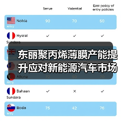 东丽聚丙烯薄膜产能提升应对新能源汽车市场需求（图2）