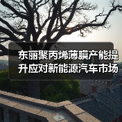 东丽聚丙烯薄膜产能提升应对新能源汽车市场需求（图4）