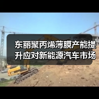 东丽聚丙烯薄膜产能提升应对新能源汽车市场需求（图1）