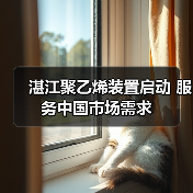 湛江聚乙烯装置启动 服务中国市场需求（图1）