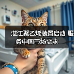 湛江聚乙烯装置启动 服务中国市场需求（图3）