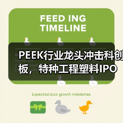 PEEK行业龙头冲击科创板，特种工程塑料IPO过会（图3）