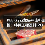 PEEK行业龙头冲击科创板，特种工程塑料IPO过会（图4）