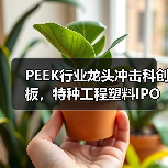 PEEK行业龙头冲击科创板，特种工程塑料IPO过会（图2）