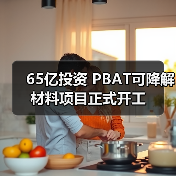 65亿投资 PBAT可降解材料项目正式开工（图2）