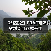 65亿投资 PBAT可降解材料项目正式开工（图3）