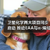 卫星化学两大项目同步启动 推动EAA与α-烯烃产业链发展(图1) 卫星化学两大项目同步启动 推动EAA与α-烯烃产业链发展(图1)