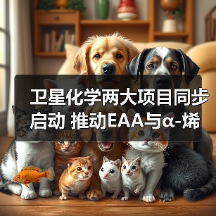 卫星化学两大项目同步启动 推动EAA与α-烯烃产业链发展(图4) 卫星化学两大项目同步启动 推动EAA与α-烯烃产业链发展(图4)