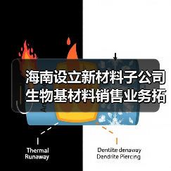 海南设立新材料子公司 生物基材料销售业务拓展(图1) 海南设立新材料子公司 生物基材料销售业务拓展(图1)