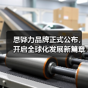 恩骅力品牌正式公布，开启全球化发展新篇章（图4）