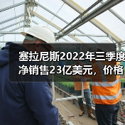 塞拉尼斯2022年三季度净销售23亿美元，价格销量双降如何应对？（图3）