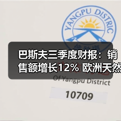 巴斯夫三季度财报:销售额增长12% 欧洲天然气成本拖累22亿欧元?(图3) 巴斯夫三季度财报:销售额增长12% 欧洲天然气成本拖累22亿欧元?(图3)