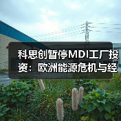 科思创暂停MDI工厂投资:欧洲能源危机与经济疲软如何影响决策(图3) 科思创暂停MDI工厂投资:欧洲能源危机与经济疲软如何影响决策(图3)