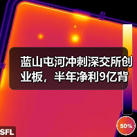 蓝山屯河冲刺深交所创业板,半年净利9亿背后有何玄机?(图4) 蓝山屯河冲刺深交所创业板,半年净利9亿背后有何玄机?(图4)