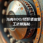 海南BDO/顺酐项目复工进展揭秘（图3）