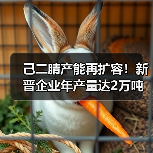 己二腈产能再扩容！新晋企业年产量达2万吨（图1）