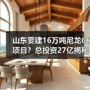 山东要建16万吨尼龙66项目?总投资27亿揭秘(图4) 山东要建16万吨尼龙66项目?总投资27亿揭秘(图4)